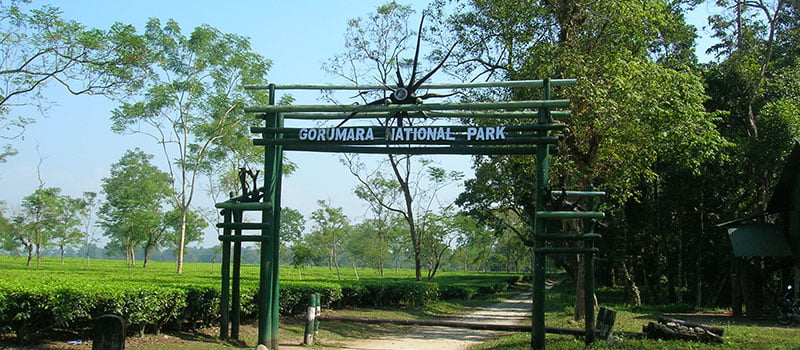 Gorumara National Park